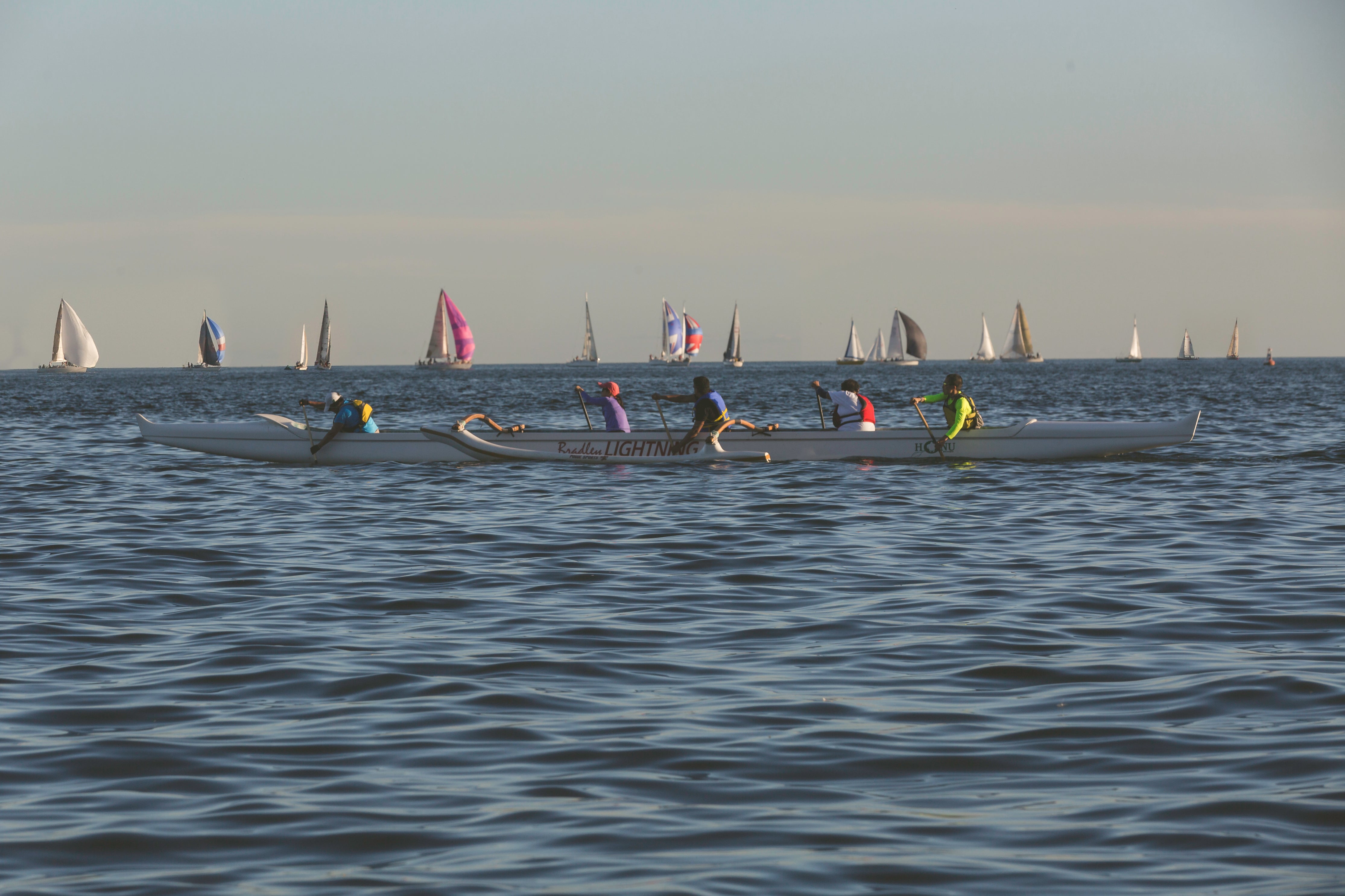 A team rowing in the same direction